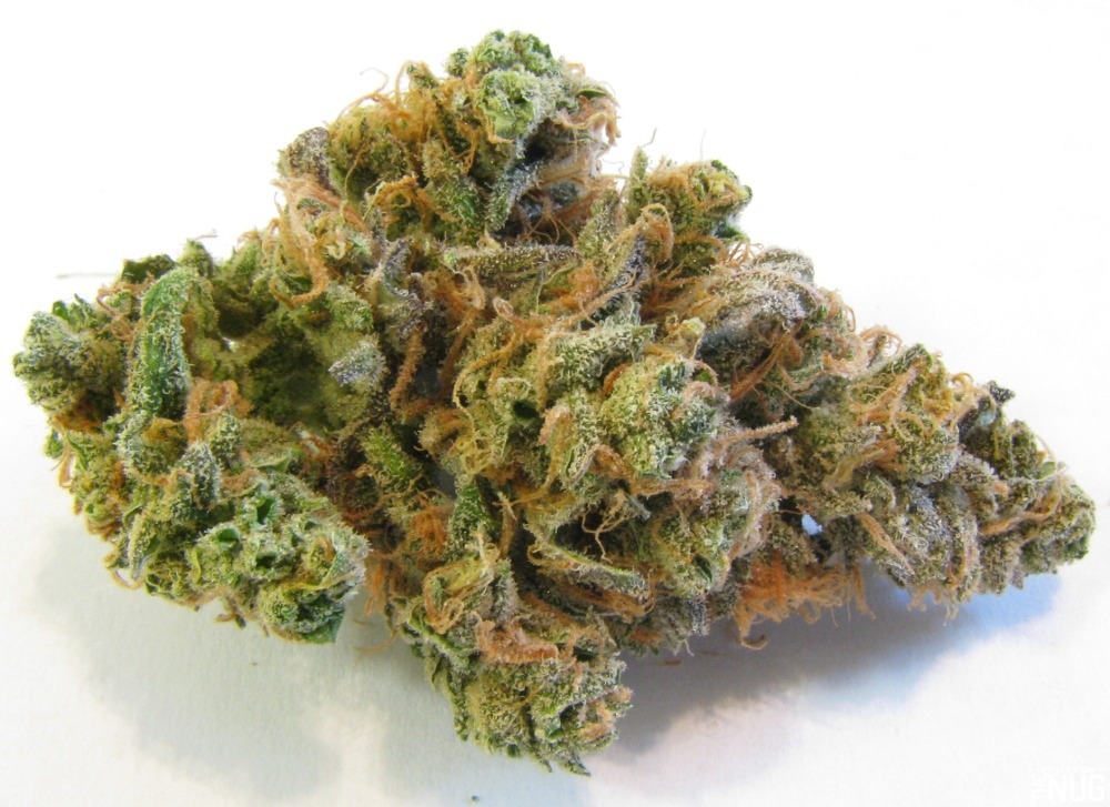 Strain Spotlight: Gorilla Glue