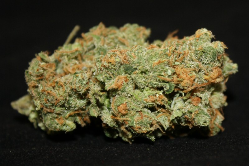 Learn more about the marijuana strain Lemon Skunk