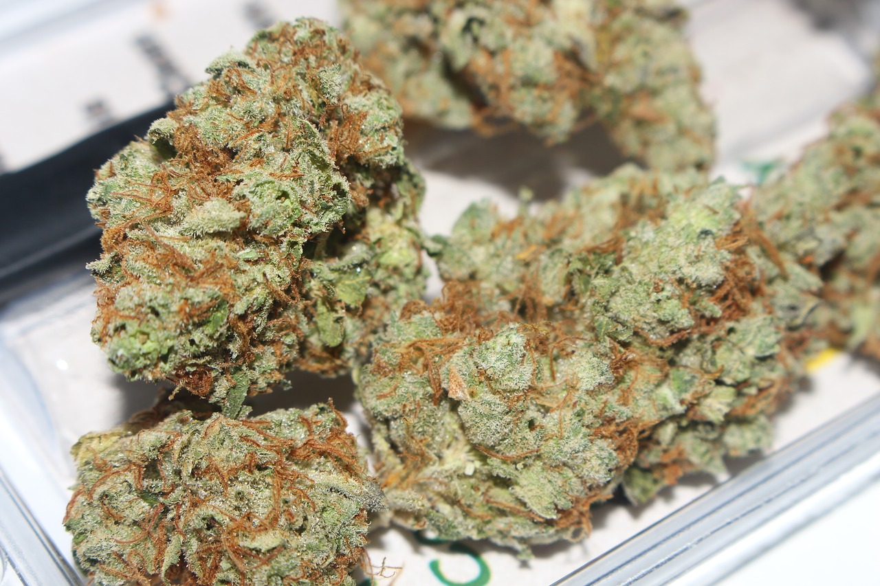 Strain Spotlight: Gorilla Glue