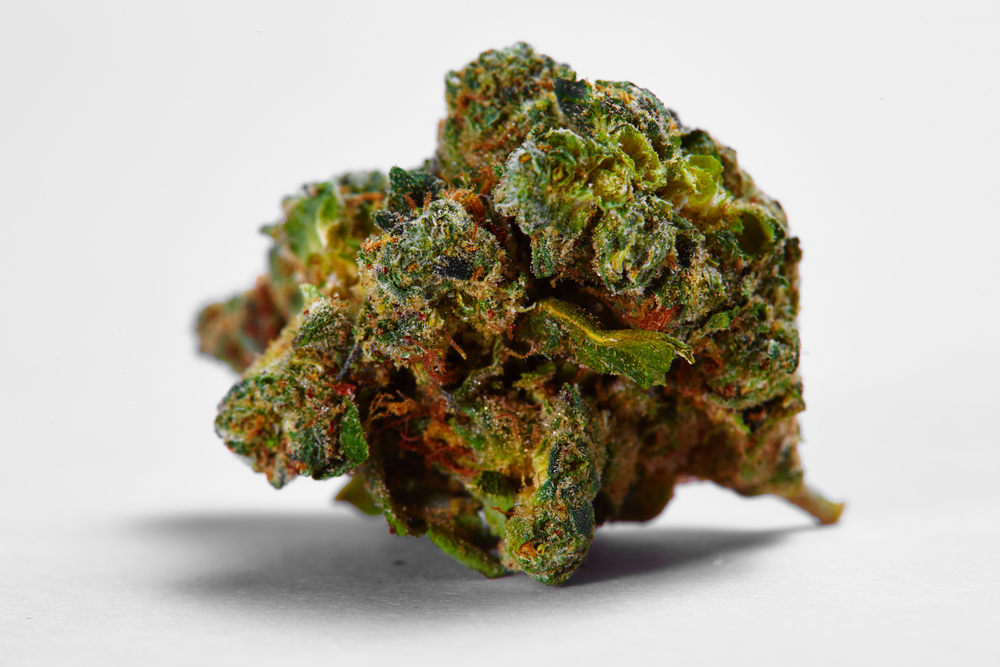 green crack strain spotlight