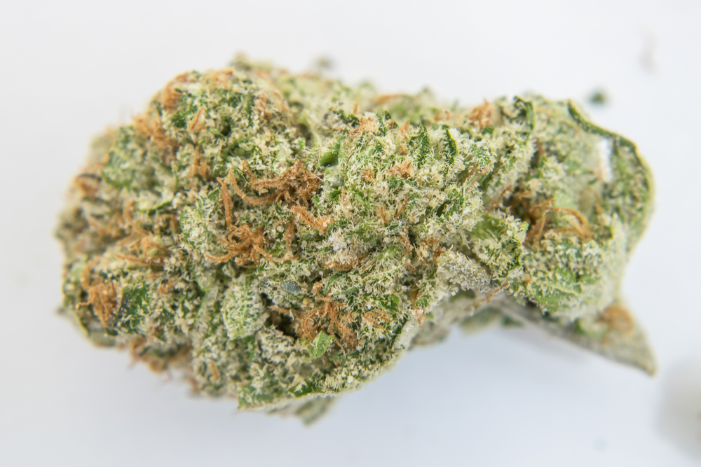 OG Kush - Medical marijuana - canabis420