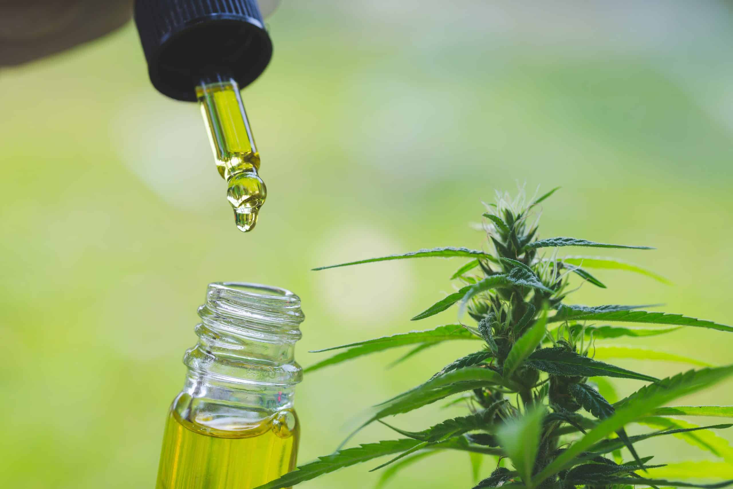 Top 5 Questions about CBD min scaled