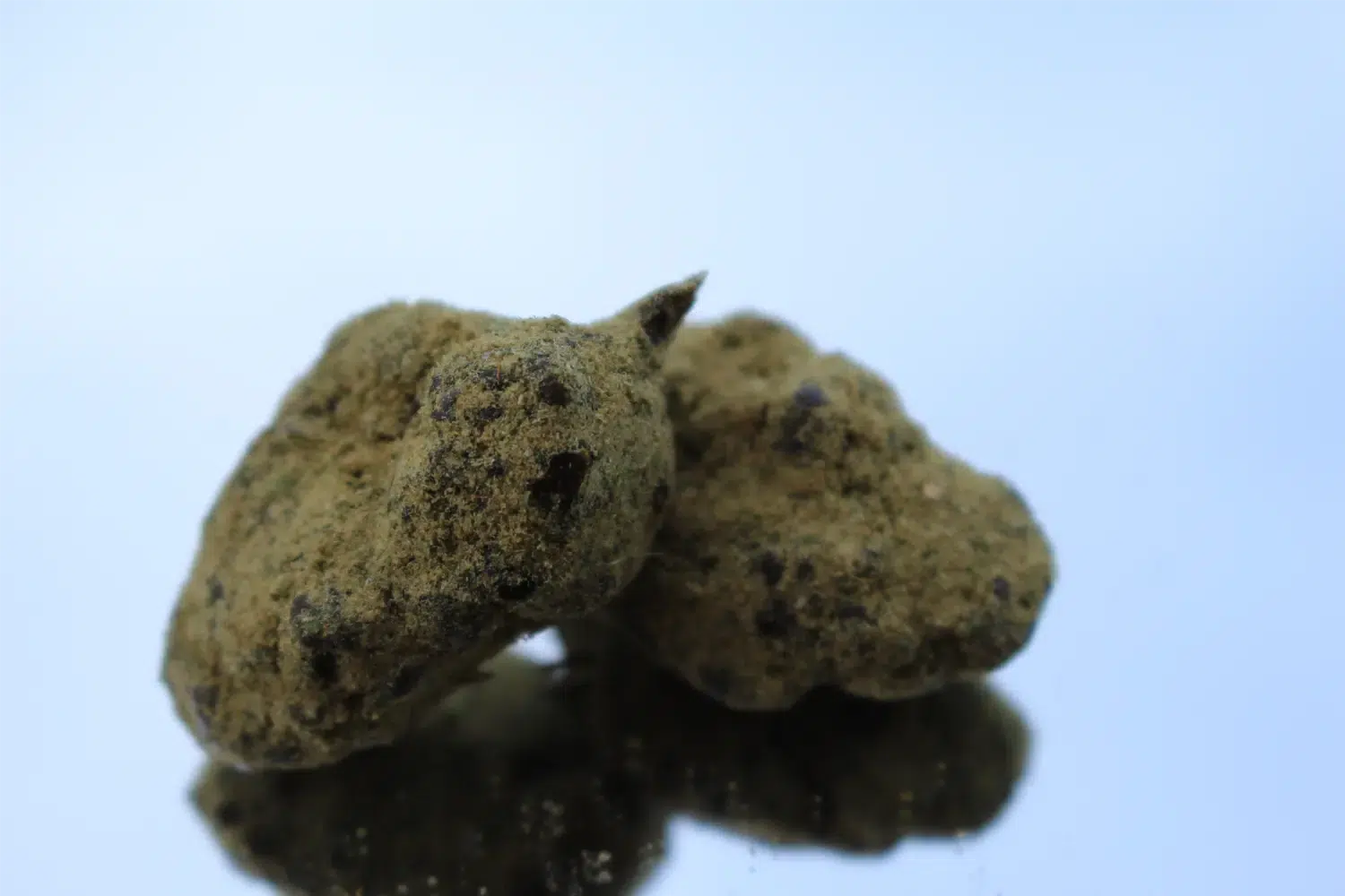 Cannabis moon rocks